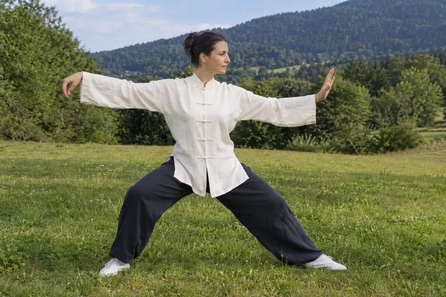 Posture 9 Simple fouet : Le fouet simple