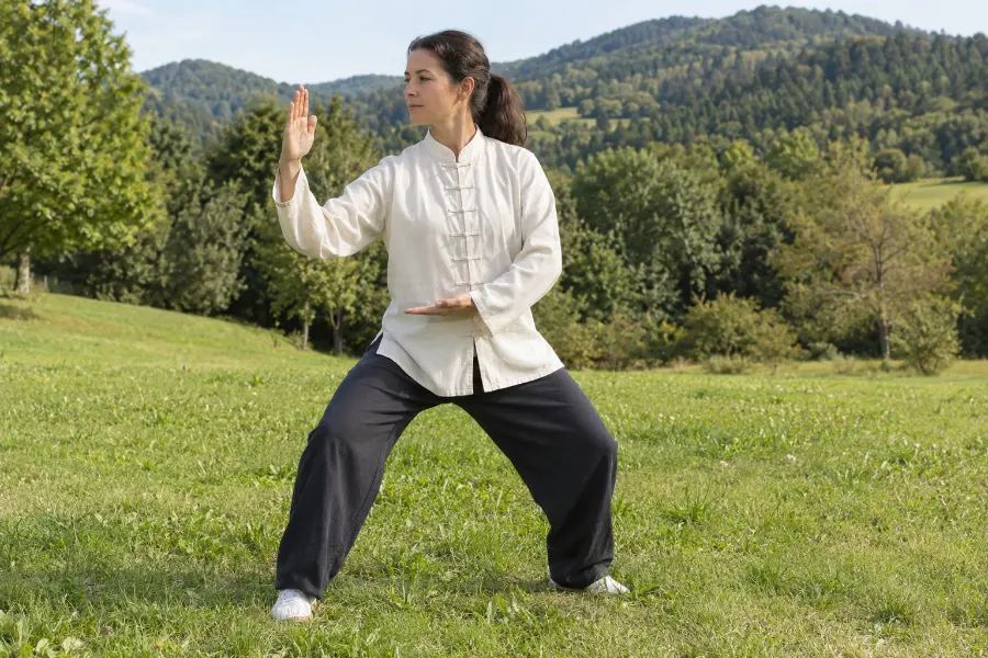 Posture 10 Mouvoir les mains comme les nuages : Vers la gauche