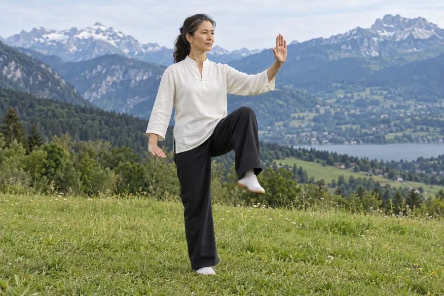 Posture 16 Le serpent rampe, le coq d'or sur une patte — gauche : Le coq d'or sur une patte