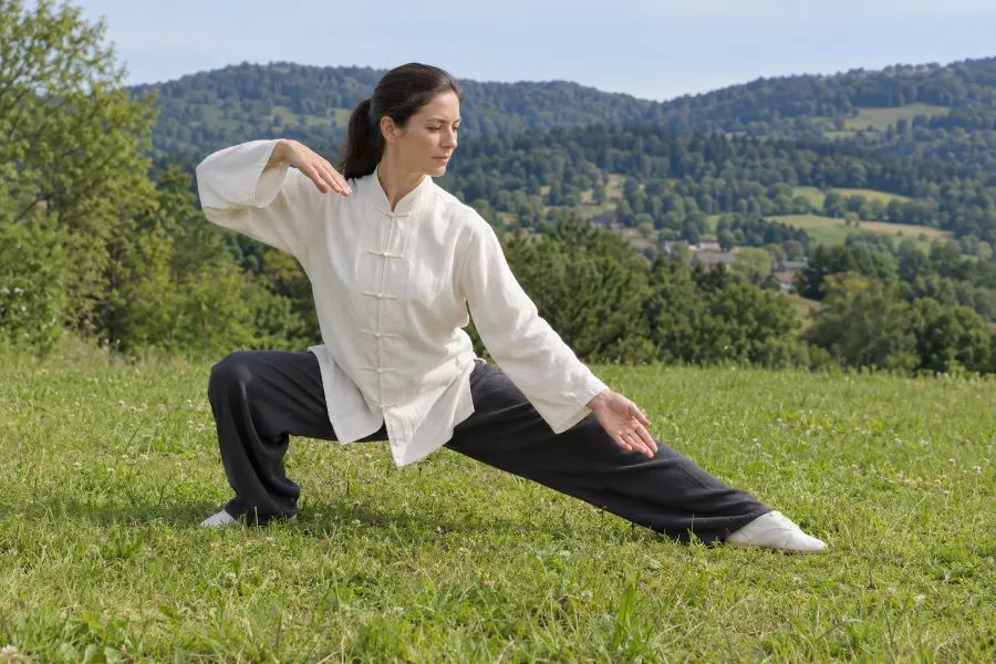 Posture 17 Le serpent rampe, le coq d'or sur une patte — droite : Le serpent rampe
