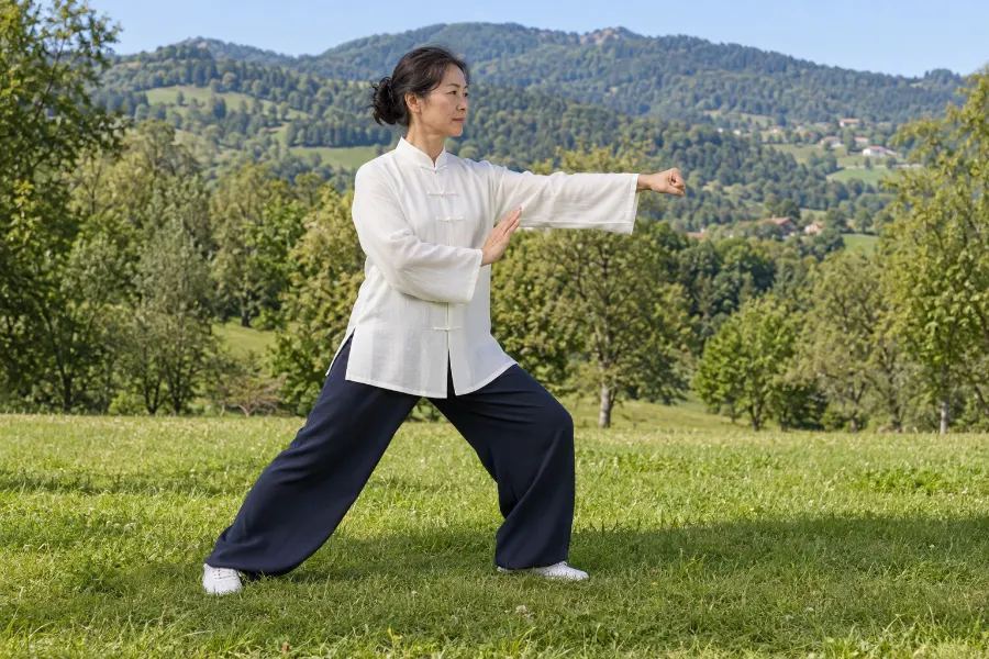 Posture 21 Se retourner, dévier, parer et frapper : Frapper du poing