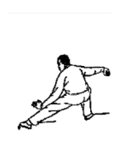 Schéma de la posture 16 de la forme de Pékin : Le serpent rampe, le coq d'or sur une patte — gauche