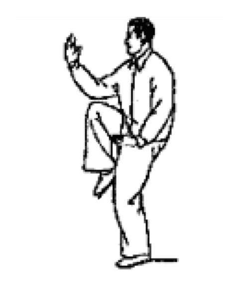 Schéma de la posture 17 de la forme de Pékin : Le serpent rampe, le coq d'or sur une patte — droite