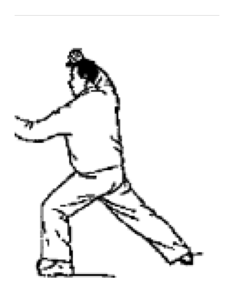 Schéma de la posture 20 de la forme de Pékin : Déployer les bras comme un éventail
